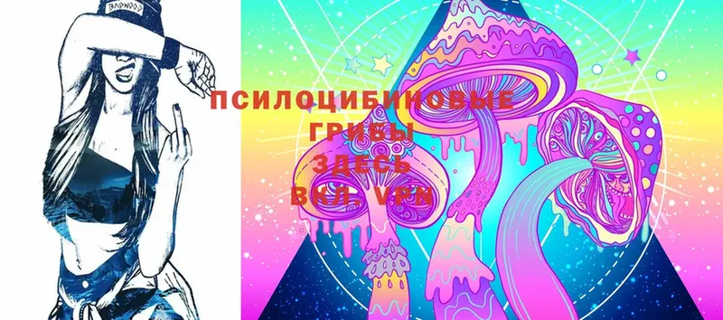 Псилоцибиновые грибы Magic Shrooms  цены наркотик  Харовск 